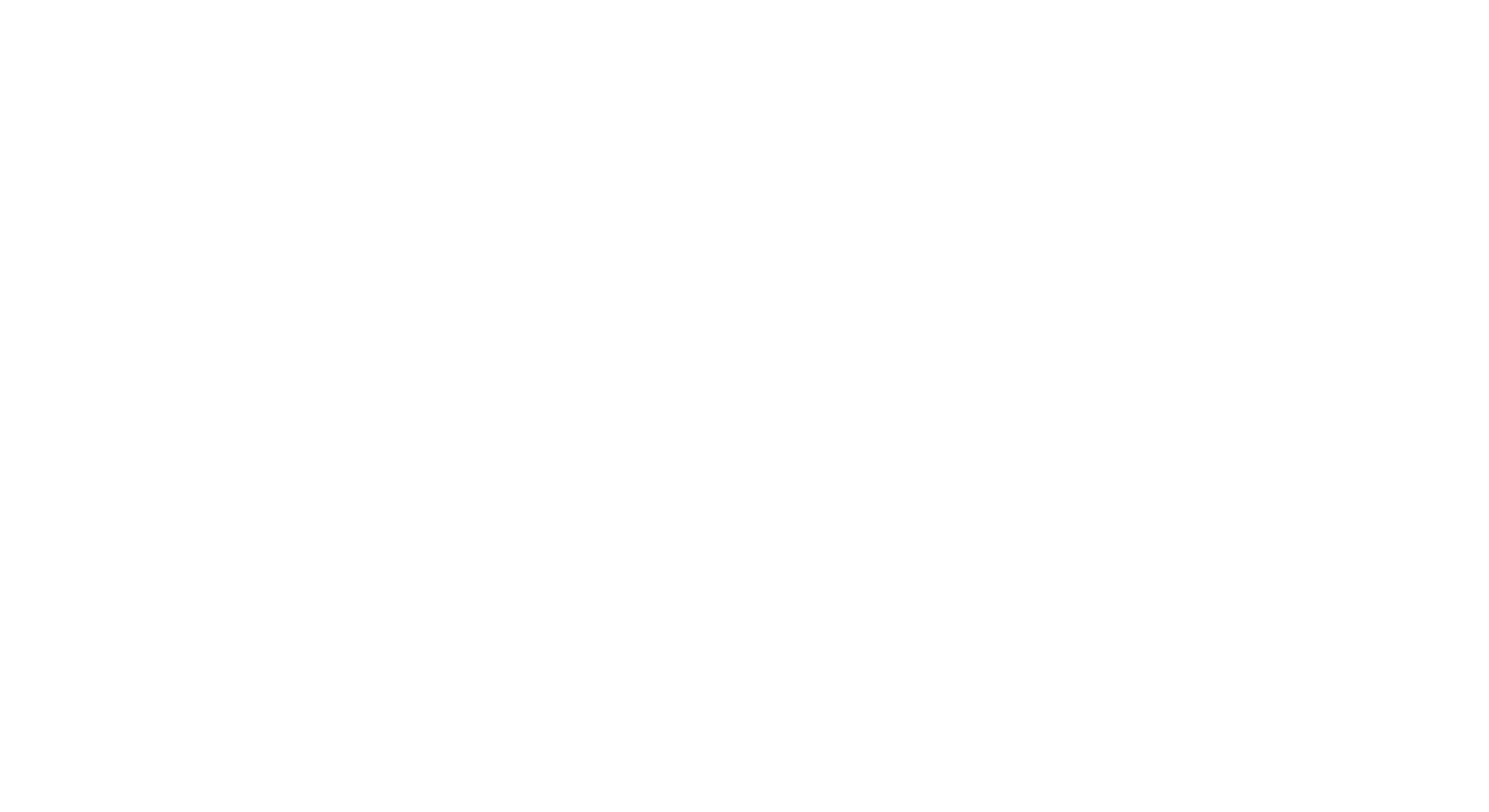Larry Rubin Signature